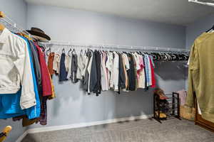 Walk in closet featuring carpet floors