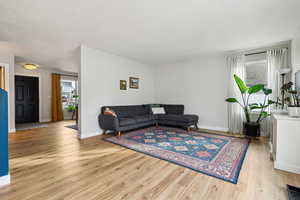 Living room featuring light wood-style floors, plenty of natural light, and baseboards