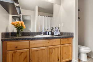 Full master bathroom with vanity and toilet