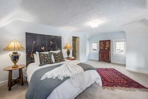 Bedroom with lofted ceiling, carpet flooring, a textured ceiling, and baseboards