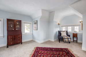 Living area featuring vaulted ceiling, a textured ceiling, light carpet, and a healthy amount of sunlight