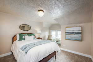 Carpeted bedroom featuring lofted ceiling, a textured ceiling, and baseboards