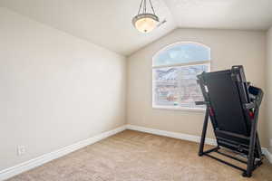 Exercise room featuring vaulted ceiling, carpet, visible vents, and baseboards