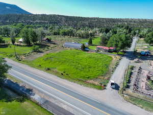 Bird's eye view of a forest and a mountain backdrop