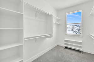 Walk in closet with light colored carpet