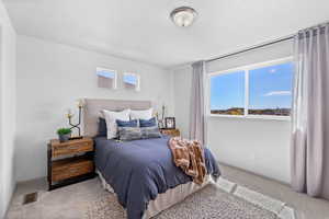 Bedroom featuring light colored carpet, visible vents, and a textured ceiling