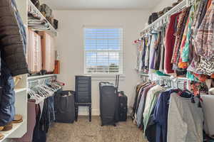 Walk in closet featuring light colored carpet