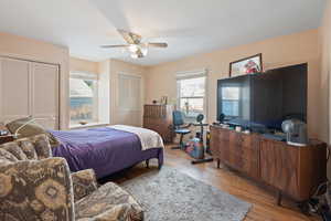 Bedroom featuring multiple windows, multiple closets, ceiling fan, and light hardwood / wood-style flooring