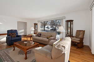 Living room featuring light wood-type flooring