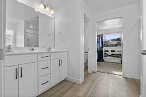 Bathroom with a spacious closet, wood finished floors, a sink, and a healthy amount of sunlight