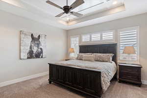 Bedroom featuring a raised ceiling, light carpet, and baseboards