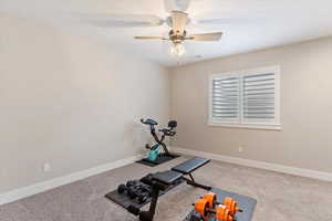 Exercise area featuring carpet, visible vents, baseboards, and a ceiling fan