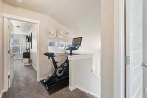 Exercise area with vaulted ceiling, carpet, and plenty of natural light