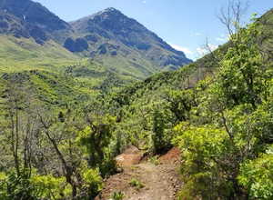 Mountain view