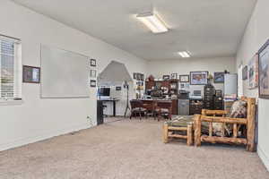 Office space featuring light carpet and a textured ceiling