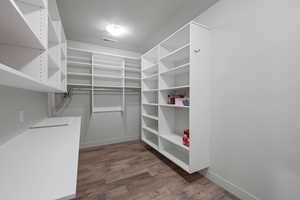 Spacious closet featuring wood-type flooring