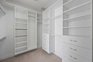 Spacious closet with light carpet