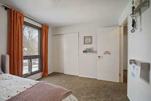 Bedroom with carpet, multiple windows, baseboards, and a closet