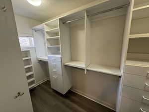 Walk in closet featuring dark hardwood / wood-style floors