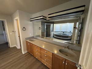 Master Bathroom featuring hardwood / wood-style floors, plus walk in shower, and vanity