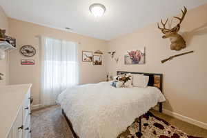 Carpeted bedroom with baseboards and visible vents