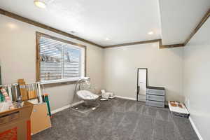 Misc room featuring dark colored carpet, recessed lighting, visible vents, and baseboards