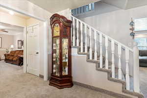 Staircase featuring carpet floors and a ceiling fan