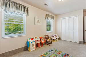 Rec room with carpet floors and visible vents