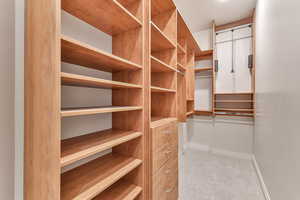 Spacious closet with light carpet