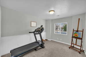 Workout area with light carpet, a wainscoted wall, visible vents, and a textured ceiling