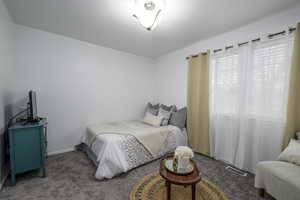 Carpeted bedroom featuring visible vents