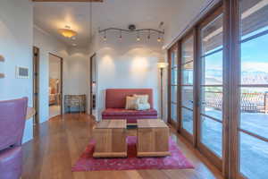 Living area with visible vents, wood finished floors, a mountain view, and rail lighting