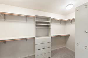 Spacious closet with carpet