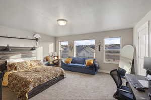 Photo 10 of 8680 N SHADOW CREEK ALY