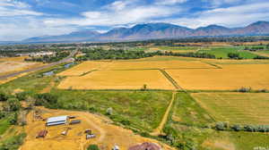 Bird's eye view with a mountain view and a rural view