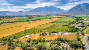 Bird's eye view featuring a mountain view and a rural view