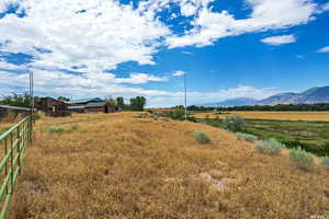 View of yard featuring fence, a mountain view, and a rural view