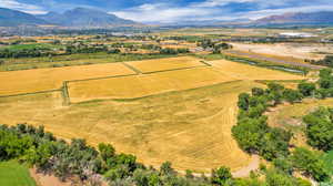 Bird's eye view featuring a mountain view and a rural view