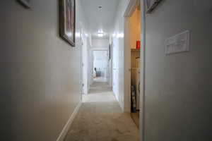 Hallway featuring light colored carpet