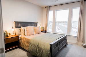 Carpeted bedroom featuring multiple windows, visible vents, and baseboards