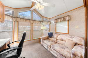 Home office with lofted ceiling, ceiling fan, carpet, and crown molding