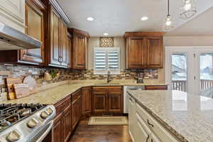 Kitchen featuring under cabinet range hood, dark wood-style flooring, a sink, decorative backsplash, and decorative light fixtures