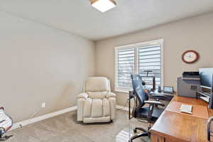 Home office featuring light carpet, baseboards, and a textured ceiling