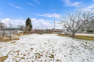 Large yard with many fruit trees including asian pear, apple, cherry, and peach