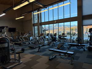 Workout area featuring a towering ceiling, carpet, and a mountain view