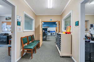 Corridor with a textured ceiling, carpet floors, and ornamental molding