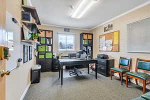 Office with a textured ceiling, carpet flooring, and ornamental molding