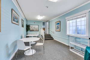 Dining room with crown molding and carpet floors