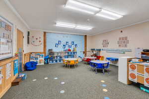 Playroom with ornamental molding and a textured ceiling