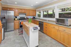 Kitchen crown molding, under cabinet range hood, appliances with stainless steel finishes, and a sink